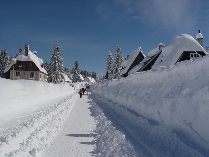 Klimaat en Natuur in Montenegro