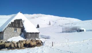 Wintersport in Montenegro